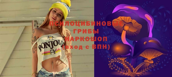 mix Бородино