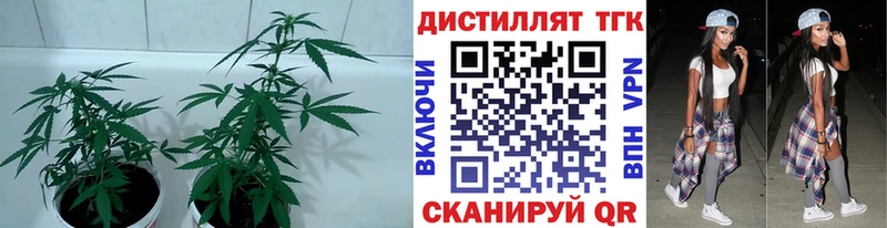 ТГК THC oil  купить   Менделеевск 