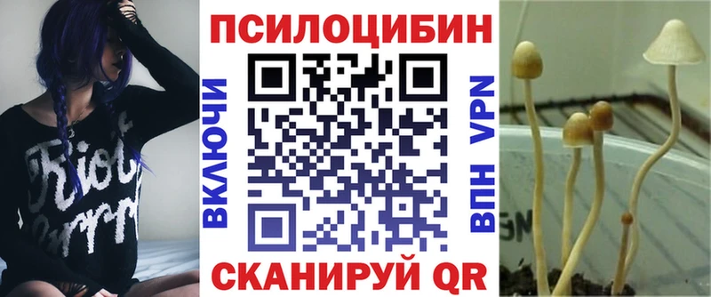 shop состав  блэк спрут как войти  Менделеевск  Галлюциногенные грибы ЛСД 